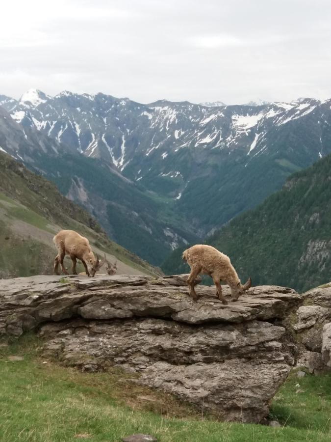 Vacances A La Montagne Saint-Julien-en-Champsaur Exteriör bild